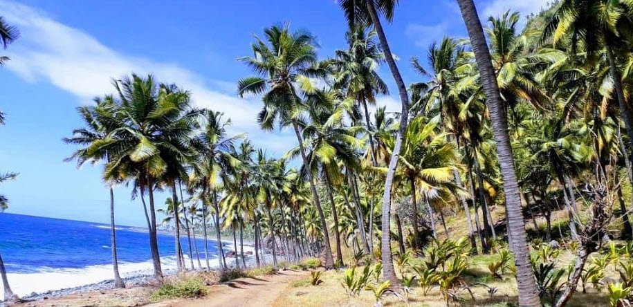 Domoni Old Town, Domoni, Anjouan, Comoros